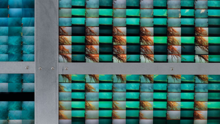 Workshop “Art, Science, the Public”